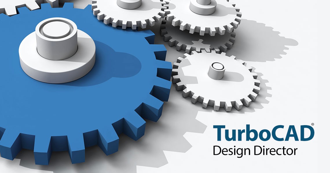 Design Director